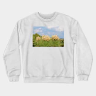 Pampas Grass Crewneck Sweatshirt